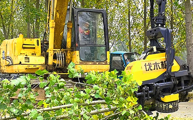 Purpose of the tree harvester heads